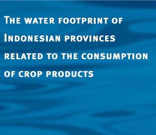 The Water Footprint of Indonesia Provinces Related to the Consumption of Crop Products. Value of Water