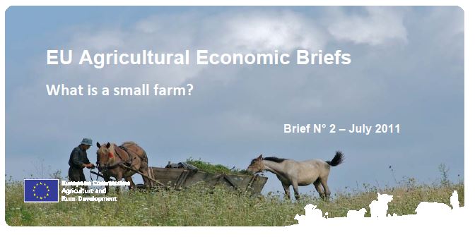 EU Agricultural Economic Briefs-What is a small farm?