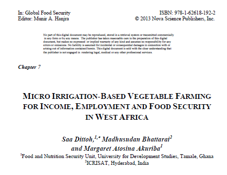 micro irrigation based vegetable farming for income, employment and food security in west africa