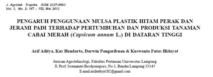 PENGARUH PENGGUNAAN MULSA PLASTIK HITAM PERAK DAN JERAMI PADI TERHADAP PERTUMBUHAN DAN PRODUKSI TANAMAN CABAI MERAH (Capsicum annum L.) DI DATARAN TINGGI