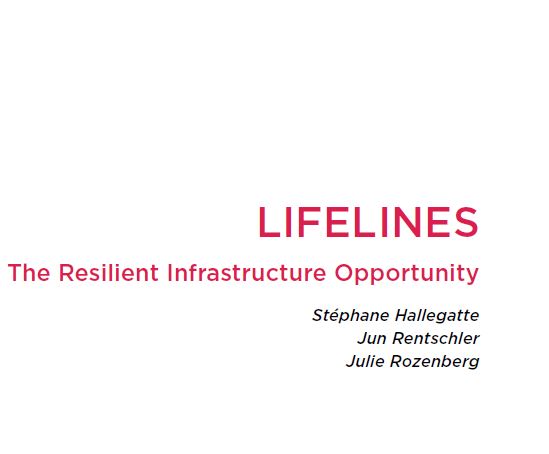 Lifelines: The Resilient Infrastructure Opportunity