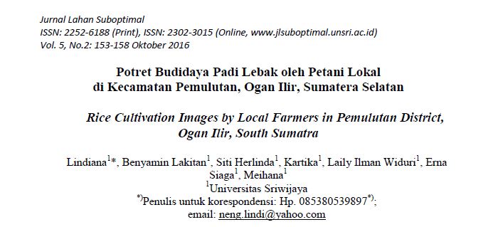 Potret Budidaya Padi Lebak oleh Petani Lokal di Kecamatan Pemulutan, Ogan Ilir, Sumatera Selatan