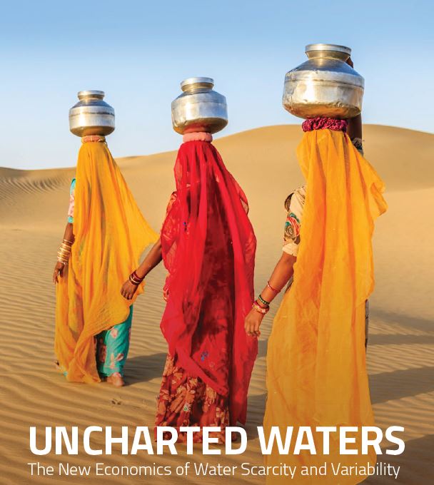 Uncharted Waters, the New Economics of Water Scarcity and Variability